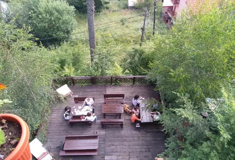 Pensiune Turistica Milcov Vladet
