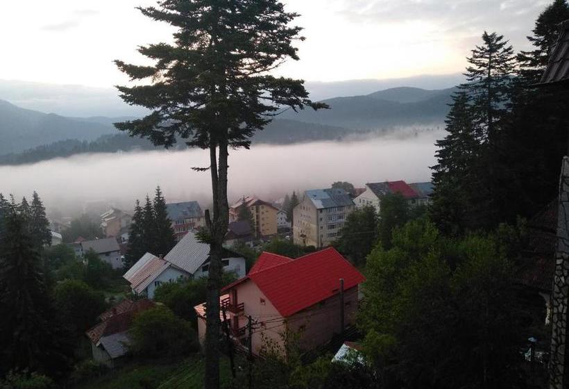 Pensiune Turistica Milcov Vladet