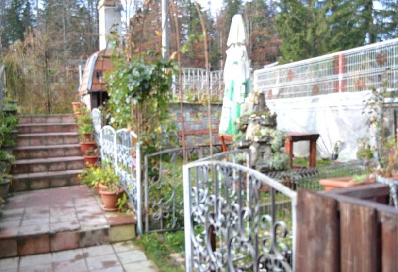 Pensiune Turistica Milcov Vladet