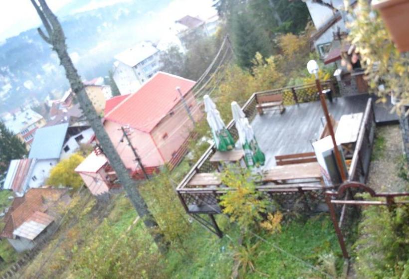 Pensiune Turistica Milcov Vladet