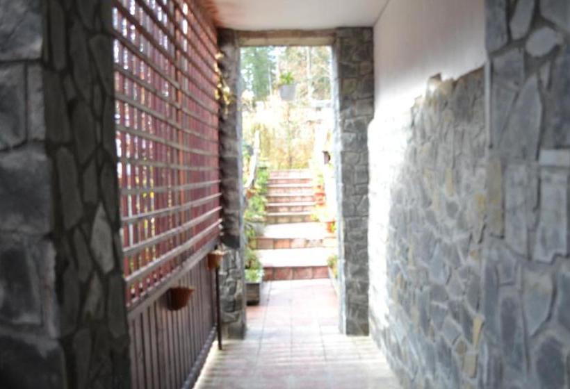 Pensiune Turistica Milcov Vladet