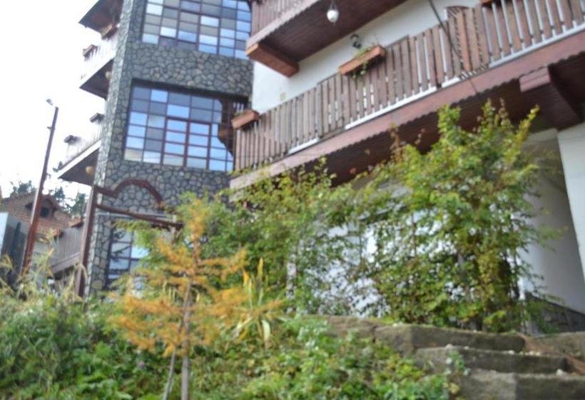 Pensiune Turistica Milcov Vladet