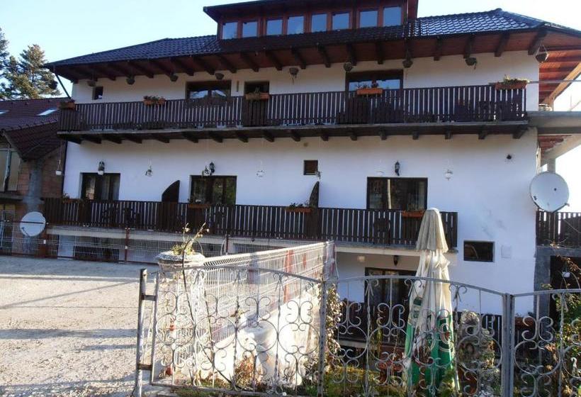 Pensiune Turistica Milcov Vladet