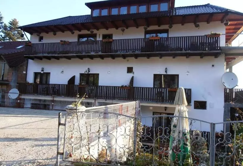 Pensiune Turistica Milcov Vladet