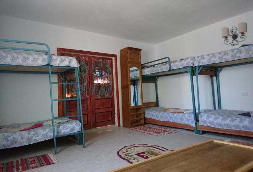 Pensiunea Delta D.m.y