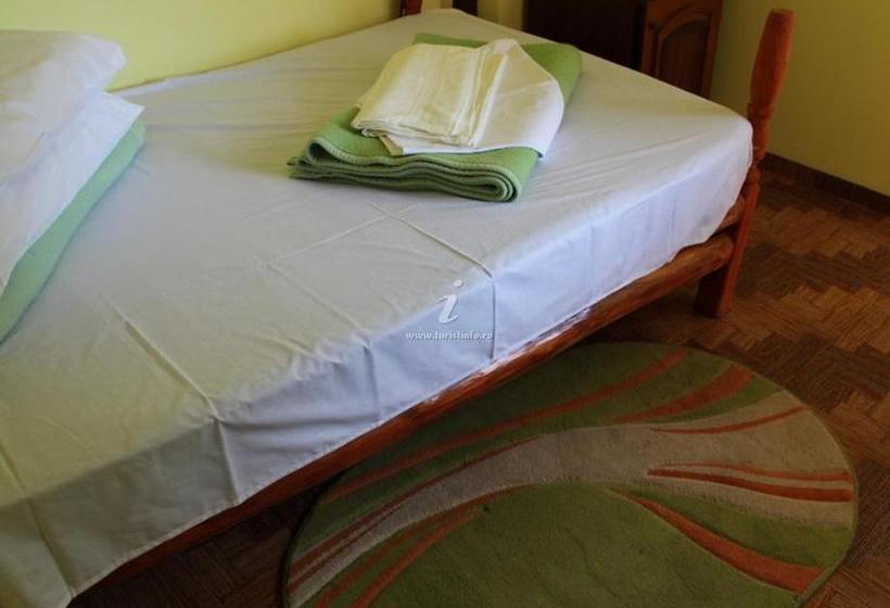 Pensiunea Delta D.m.y