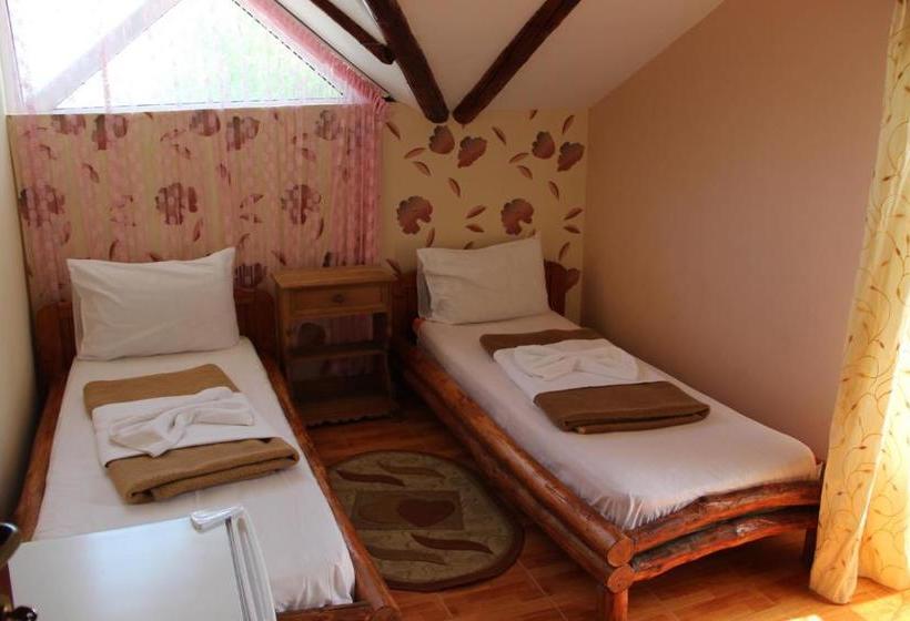 Pensiunea Delta D.m.y