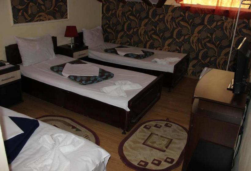 Pensiunea Delta D.m.y