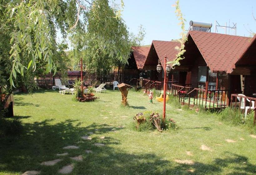 Pensiunea Delta D.m.y