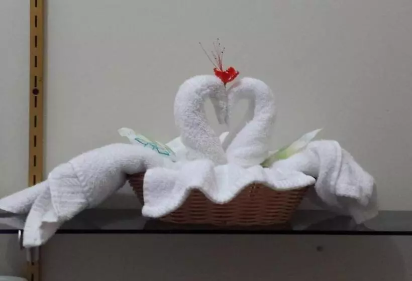 Retkeilymaja Rainforest Haven Inn