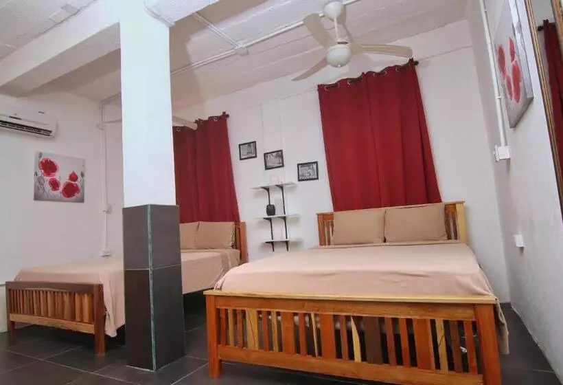 Retkeilymaja Rainforest Haven Inn