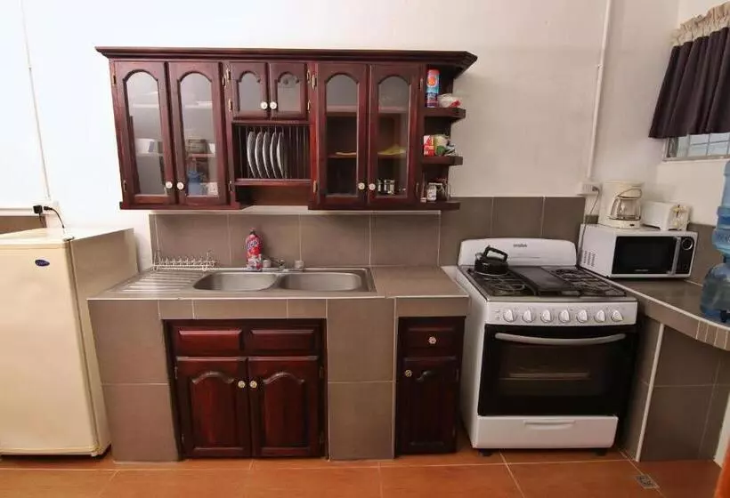 Retkeilymaja Rainforest Haven Inn