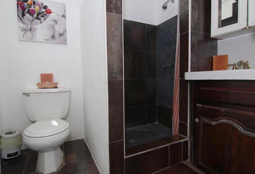 ユースホステル Rainforest Haven Inn