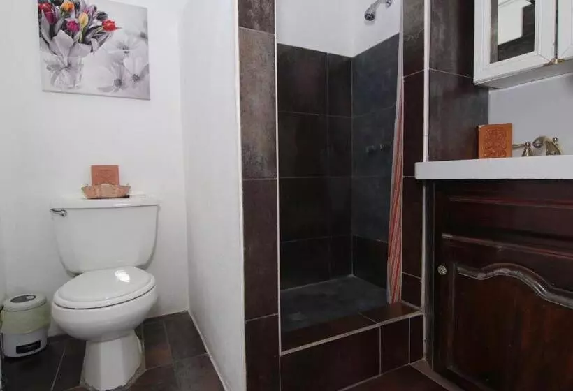 Retkeilymaja Rainforest Haven Inn