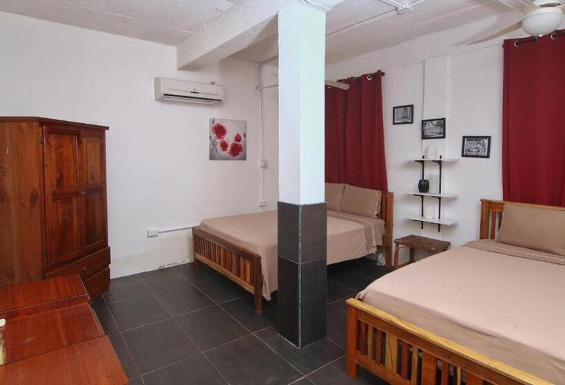 ユースホステル Rainforest Haven Inn