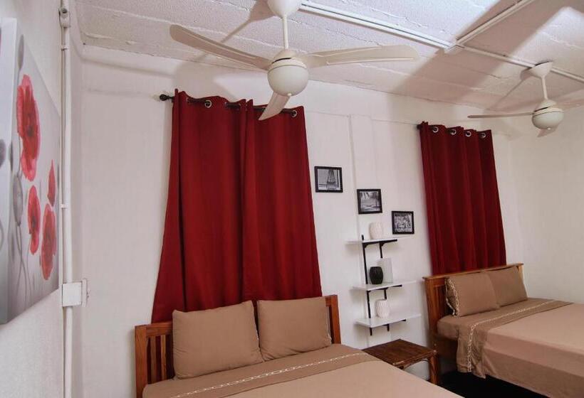 ユースホステル Rainforest Haven Inn