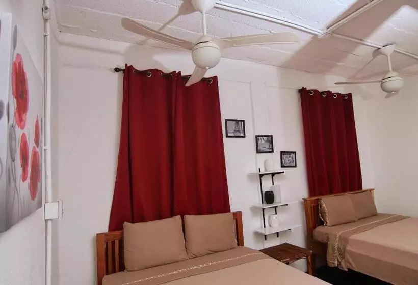 Retkeilymaja Rainforest Haven Inn