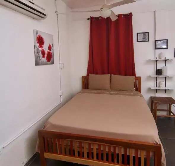 Retkeilymaja Rainforest Haven Inn