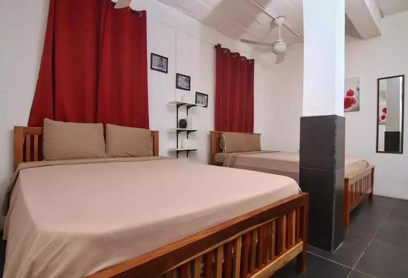 Retkeilymaja Rainforest Haven Inn