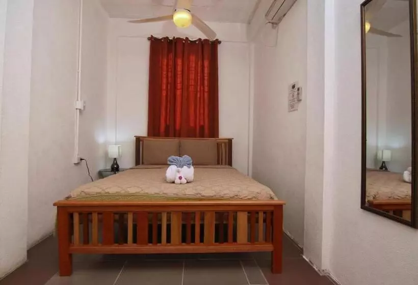 Retkeilymaja Rainforest Haven Inn