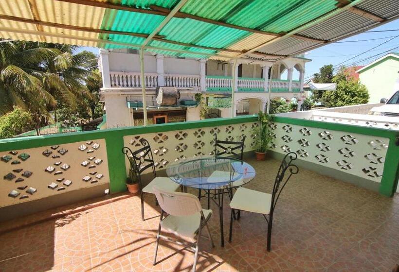 ユースホステル Rainforest Haven Inn