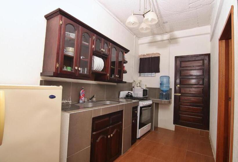 ユースホステル Rainforest Haven Inn