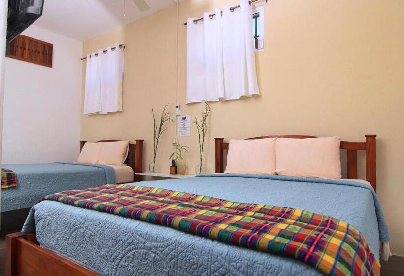 ユースホステル Rainforest Haven Inn