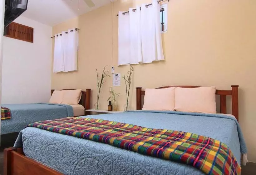 Retkeilymaja Rainforest Haven Inn