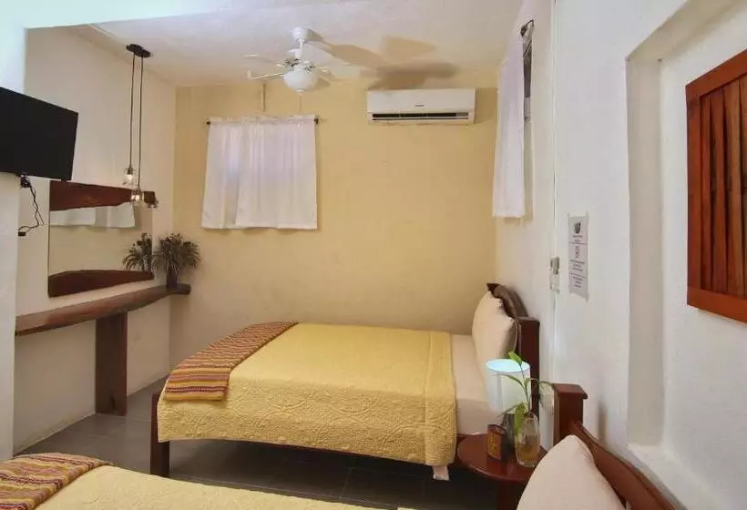 Retkeilymaja Rainforest Haven Inn