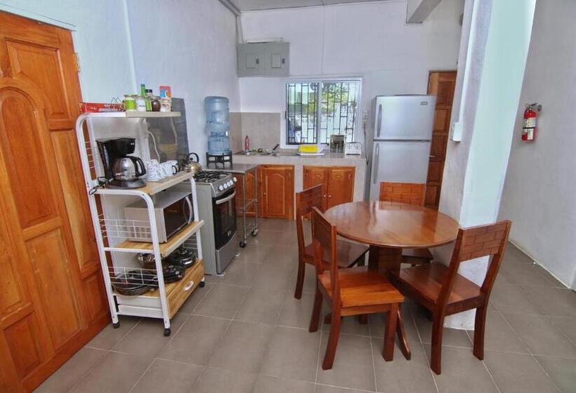 ユースホステル Rainforest Haven Inn