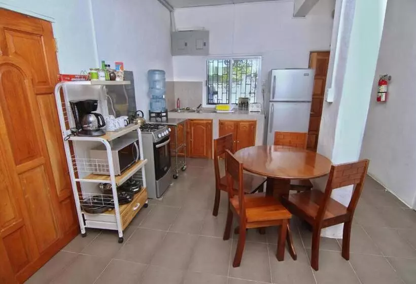 Retkeilymaja Rainforest Haven Inn