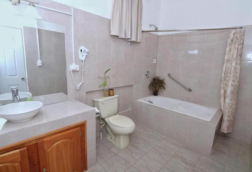 ユースホステル Rainforest Haven Inn