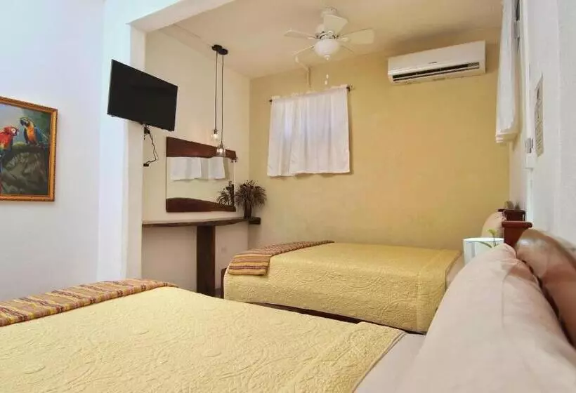 Retkeilymaja Rainforest Haven Inn