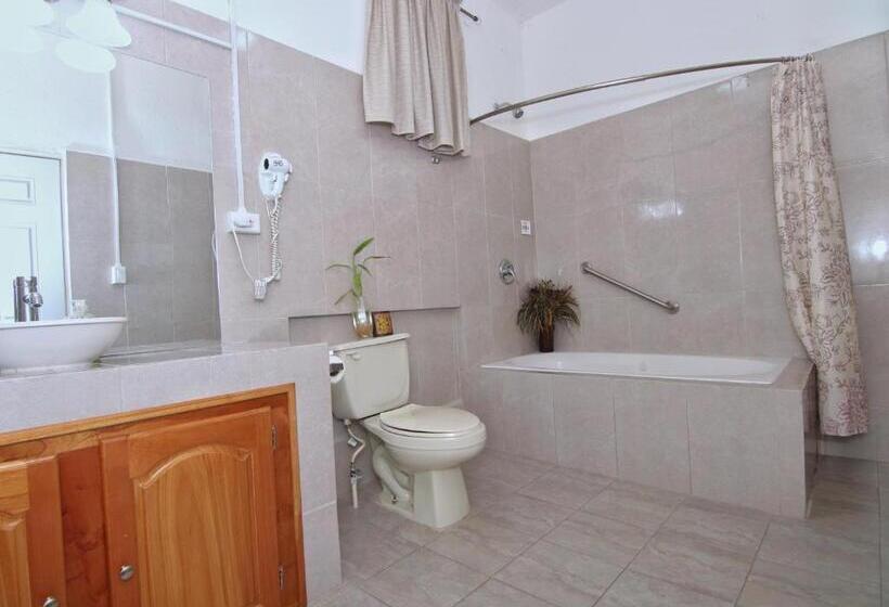 ユースホステル Rainforest Haven Inn