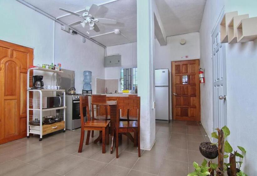 ユースホステル Rainforest Haven Inn