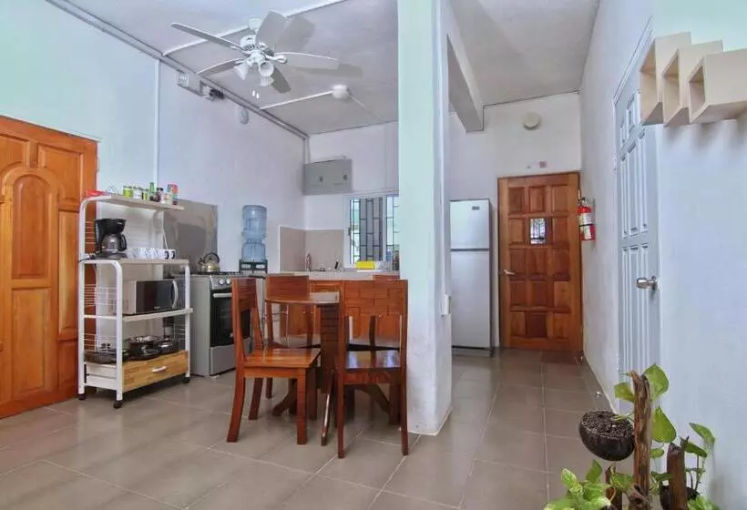 Retkeilymaja Rainforest Haven Inn