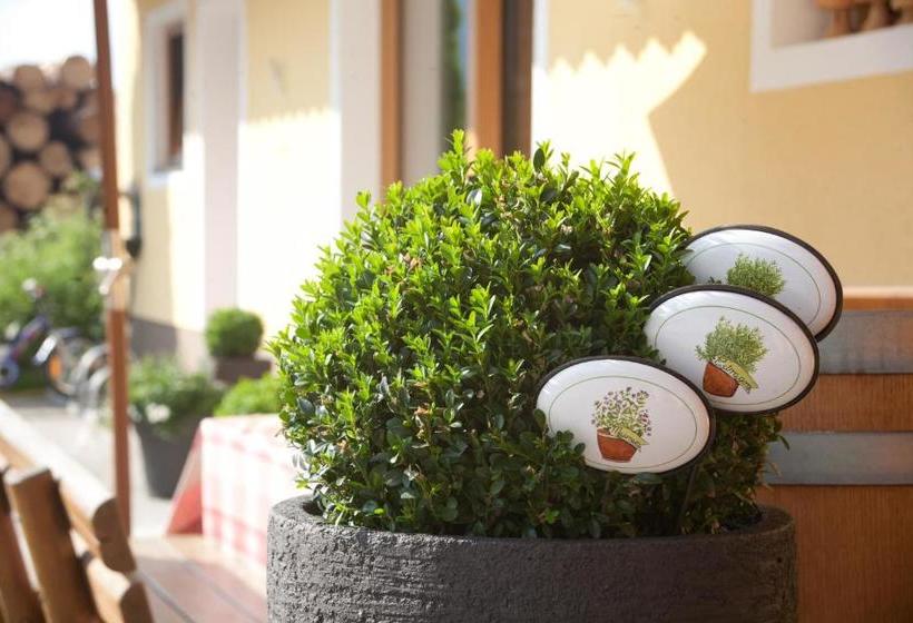 Hotel Feriengut Lackenhof