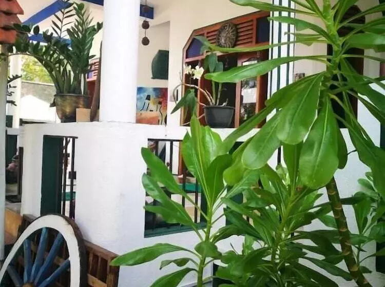 ホテル Frangipani Beach Villa