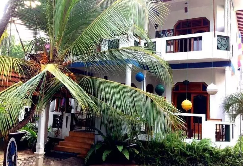 ホテル Frangipani Beach Villa