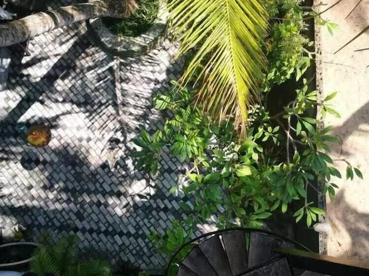 ホテル Frangipani Beach Villa