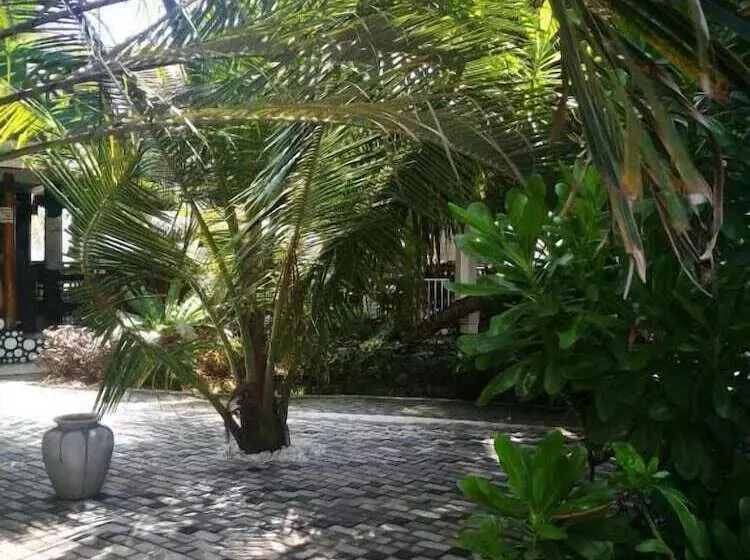 ホテル Frangipani Beach Villa