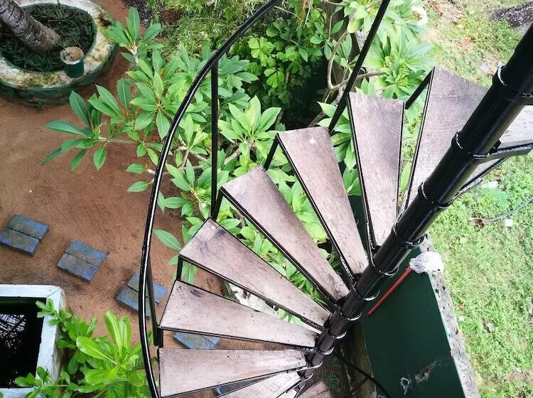 ホテル Frangipani Beach Villa