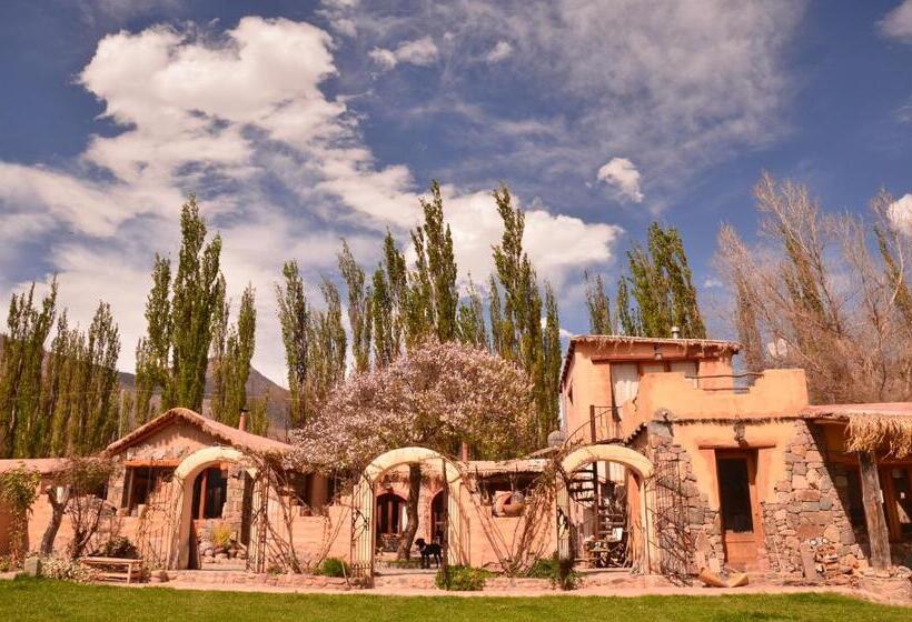 ホテル Solar Del Tropico