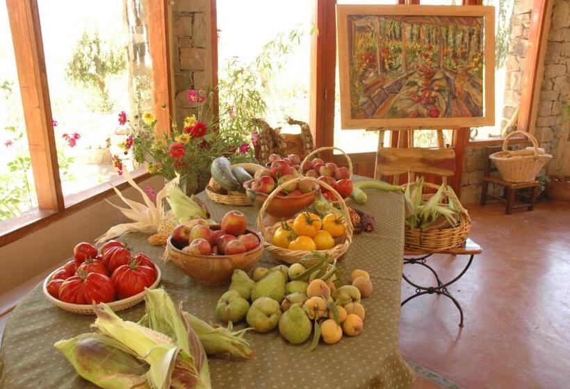 ホテル Solar Del Tropico