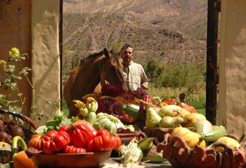 ホテル Solar Del Tropico