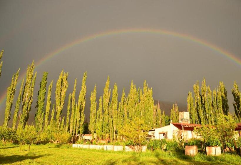 ホテル Solar Del Tropico