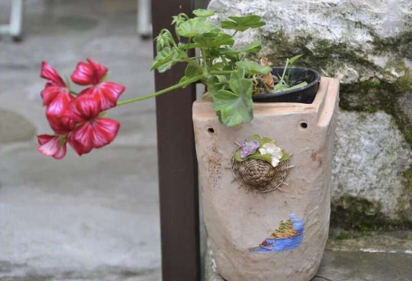 پانسیون Bujtina Kodiket Guesthouse