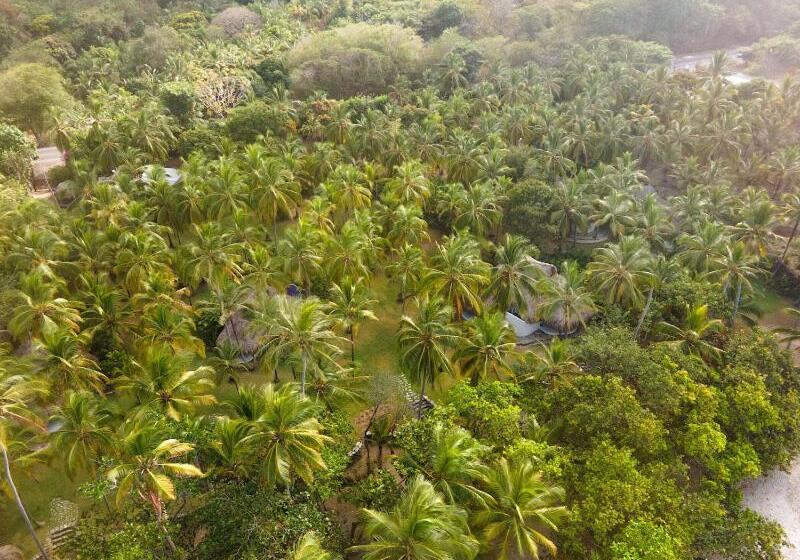 پانسیون Casalina