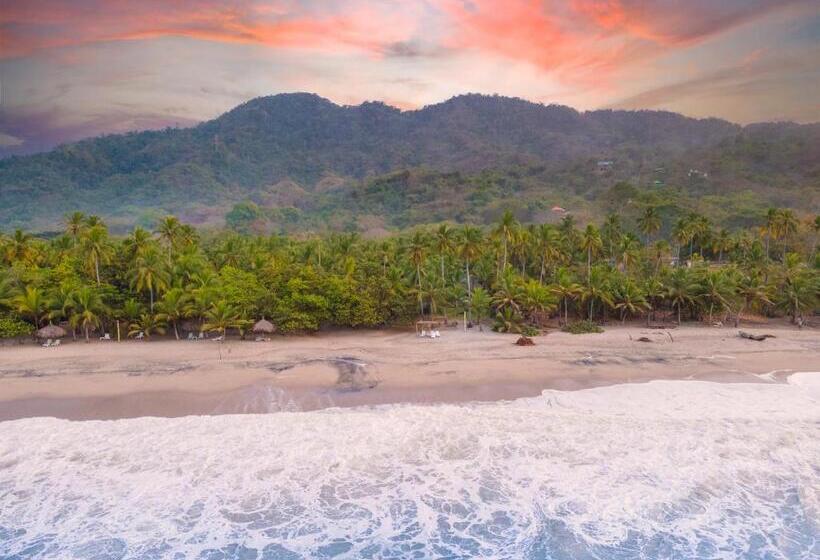 پانسیون Casalina