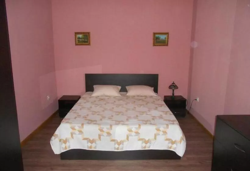 پانسیون сolibri